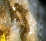 Österreich Mineralien Rauris Lohninger Bruch Rutil