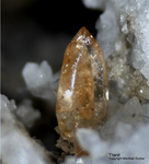 Österreich Mineralien Rauris Lohninger Bruch Titanit