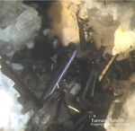 Österreich Mineralien Rauris Lohninger Bruch Turmalin