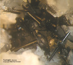 Österreich Mineralien Rauris Lohninger Bruch Turmalin