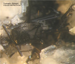 Österreich Mineralien Rauris Lohninger Bruch Turmalin