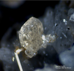 Österreich Mineralien Rauris Lohninger Bruch Xenotim