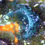 Griechenland Lavrion Mineralien Christiana Adamin 