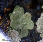 Mineralien Griechenland Lavrion Christiana Austinit