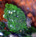 Mineralien Griechenland Lavrion Christiana Austinit