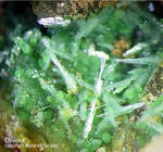 Mineralien Griechenland Lavrion Christiana Olivenit