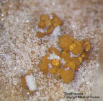 Mineralien Griechenland Lavrion Christiana Smithsonit