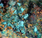 Griechenland Lavrion Esperenza Mineralien Antlerit