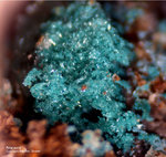 Griechenland Lavrion Esperenza Mineralien Atacamit