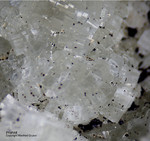 Harz Mineralien Steinbruch Gabbro Prehnit