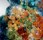 Mineralien Griechenland Lavrion Christiana Duftit