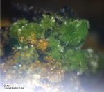 Mineralien Griechenland Lavrion Christiana Duftit