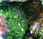 Mineralien Griechenland Lavrion Christiana Duftit