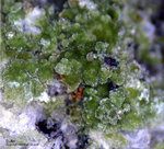 Mineralien Griechenland Lavrion Christiana Duftit