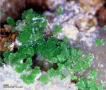 Mineralien Griechenland Lavrion Christiana Duftit