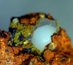 Griechenland Lavrion Mineralien Exi Apatit