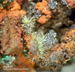 Griechenland Lavrion Mineralien Hilarion Agardit