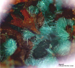 Griechenland Lavrion Mineralien Hilarion Agardit