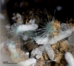 Griechenland Lavrion Mineralien Hilarion Agardit