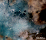 Griechenland Lavrion Mineralien Hilarion Agardit-Yttrium