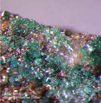 Mineralien Griechenland Lavrion Hilarion Atacamit