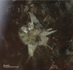 Griechenland Lavrion Mineralien Hilarion Brandit