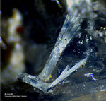 Griechenland Lavrion Mineralien Hilarion Brandit