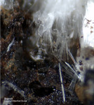 Griechenland Lavrion Mineralien Hilarion Brandit