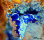 Mineralien Griechenland Lavrion Laurion Hilarion Connellit