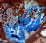 Mineralien Griechenland Lavrion Laurion Hilarion Connellit