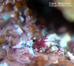 Mineralien Griechenland Lavrion Laurion Hilarion Cuprit