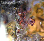 Mineralien Griechenland Lavrion Laurion Hilarion Cuprit