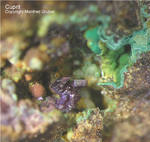 Mineralien Griechenland Lavrion Laurion Hilarion Cuprit