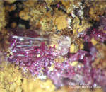 Mineralien Griechenland Lavrion Laurion Hilarion Cuprit