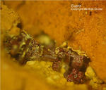 Mineralien Griechenland Lavrion Laurion Hilarion Cuprit