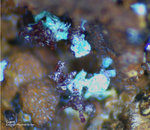 Mineralien Griechenland Lavrion Laurion Hilarion Cuprit