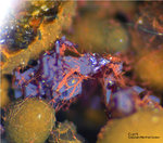 Mineralien Griechenland Lavrion Laurion Hilarion Cuprit