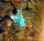 Griechenland Lavrion Mineralien Hilarion Devillin