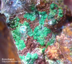 Mineralien Griechenland Lavrion Hilarion Konichalcit