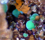 Mineralien Griechenland Lavrion Hilarion Konichalcit