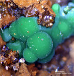 Mineralien Griechenland Lavrion Hilarion Konichalcit