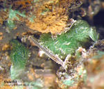 Mineralien Griechenland Laurion Hilarion Malachit