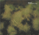 Mineralien Griechenland Laurion Hilarion Malachit