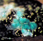 Mineralien Griechenland Laurion Hilarion Malachit