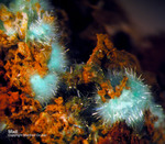 Griechenland Lavrion Mineralien Hilarion Mixit