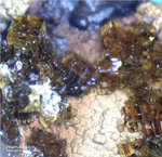 Griechenland Mineralien Lavrion Hilarion Pharmakosiderit