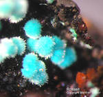 Griechenland Mineralien Lavrion Hilarion Rosasit