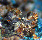 Griechenland Mineralien Lavrion Hilarion Skorodit