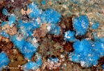 Mineralien Lavrion Jean Baptiste Devillin