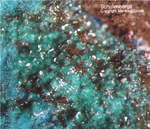 Griechenland Mineralien Lavrion Jean Baptiste Schulenbergit